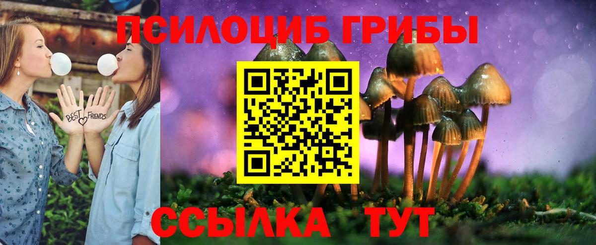 Симферополь  где купить   Вход с VPN  Галлюциногенные грибы Magic Shrooms 