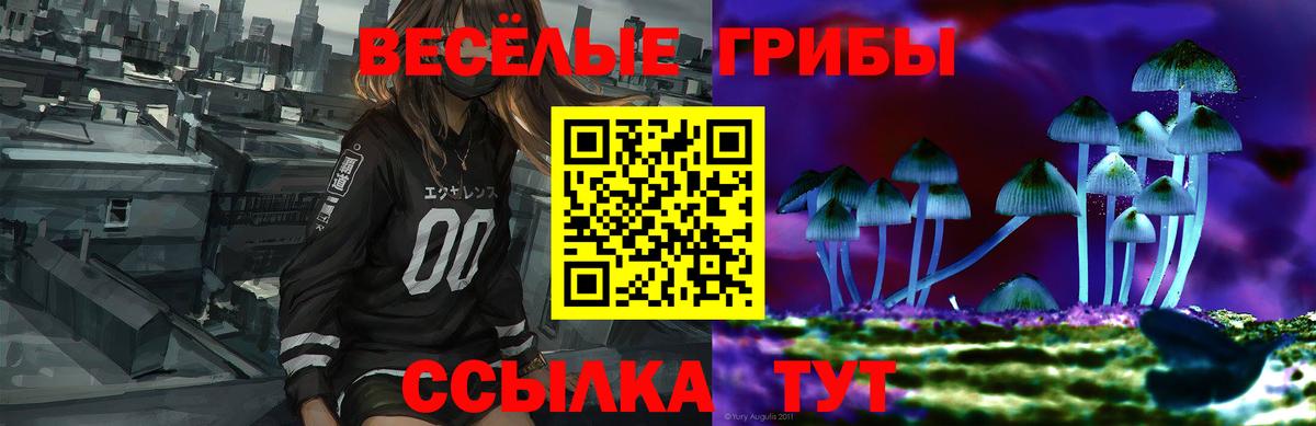 Псилоцибиновые грибы прущие грибы Симферополь